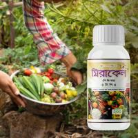 Miracle PGR 4CPA (100ml)