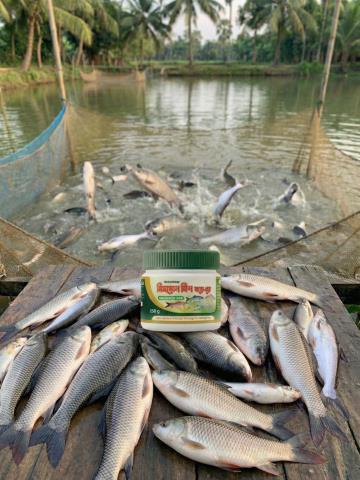 Miracle Bio Pro(Fish)500gm